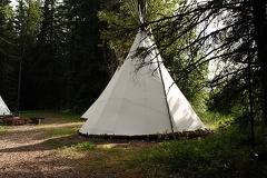 Tipi