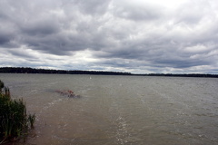 Crimson Lake