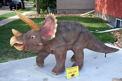 Little Dino