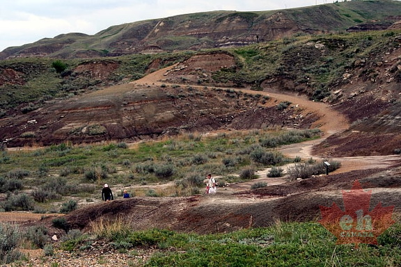 Trail Views of the Badlands