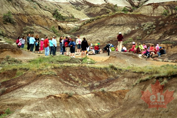 Tour Group