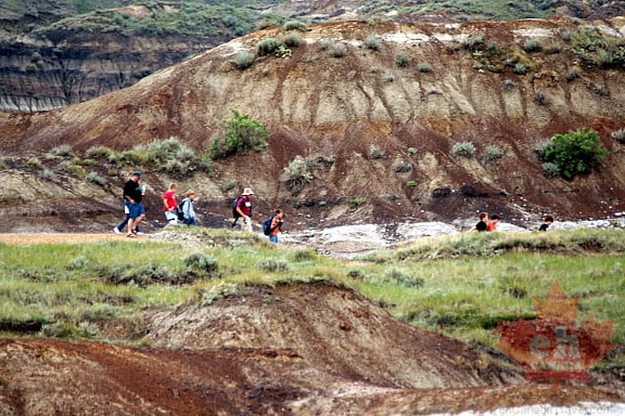 Hiking is a Family Affair