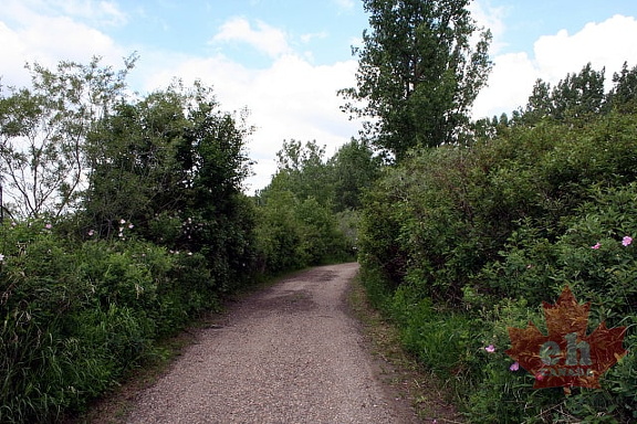 Biking Trails
