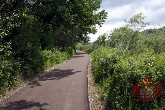 Paved Trail