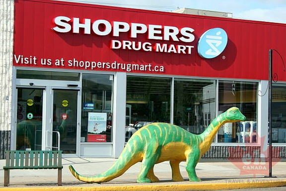 Dino Getting Prescription