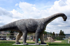 Watch for Dinos on the Road