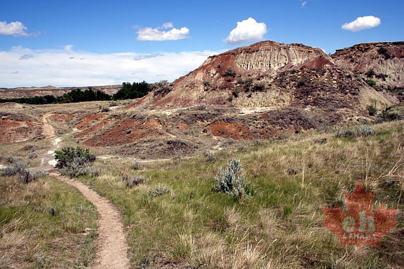 Coulee Alert