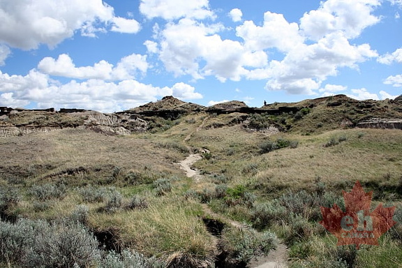 Coulee Views