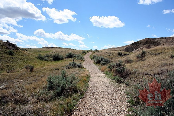 trail20090624 10012
