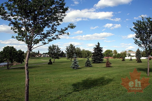 Lawns for Laughter