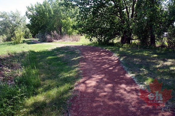 Dirt Trail
