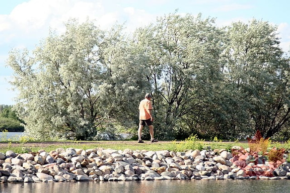 Jogging