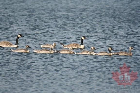 Family Outing