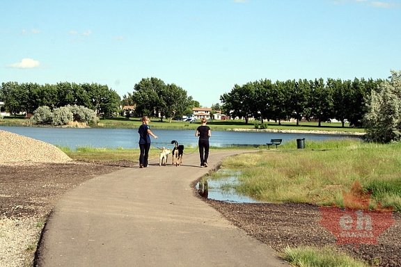 Jogging at Stafford Lake