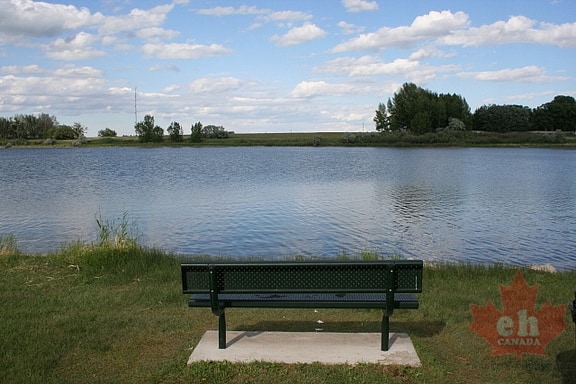 Sightseeing Bench