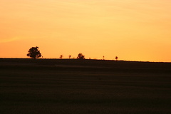 Sunsets