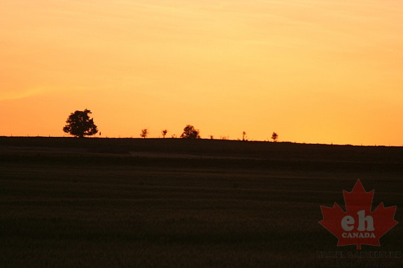 Sunsets