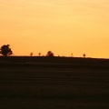 Sunsets