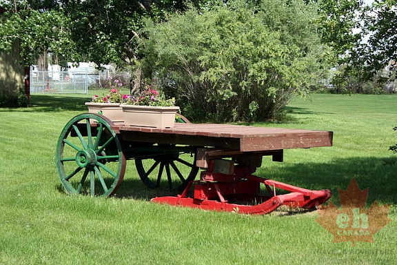 Wagon of Flowers