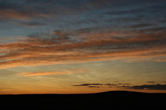 Golden Sunsets