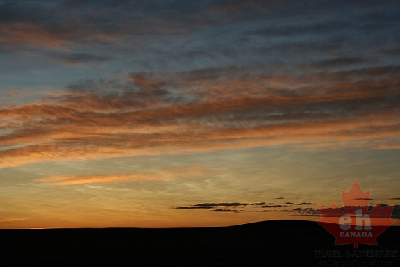 Golden Sunsets