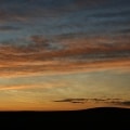 Golden Sunsets
