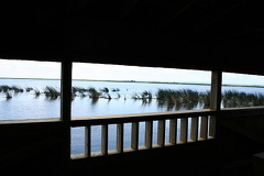 Blind Views