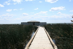 Boardwalk Trail