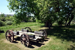 Wagon Cart