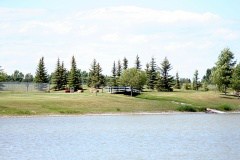 Grass Lawns