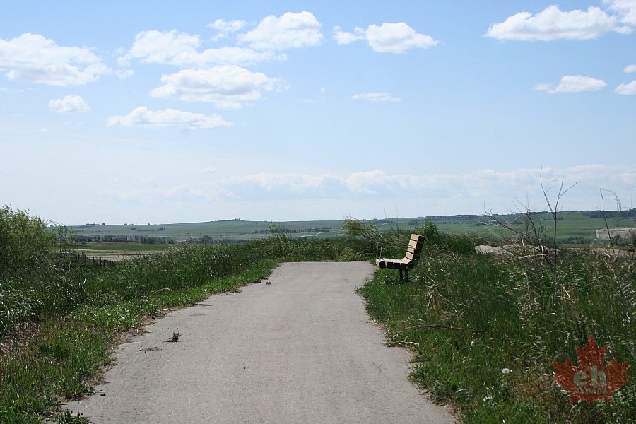 Walking Trail