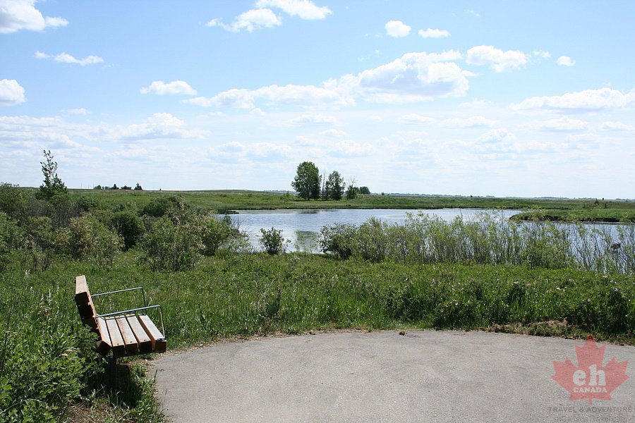 Sightseeing Bench
