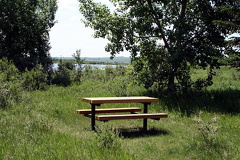Picnic Area