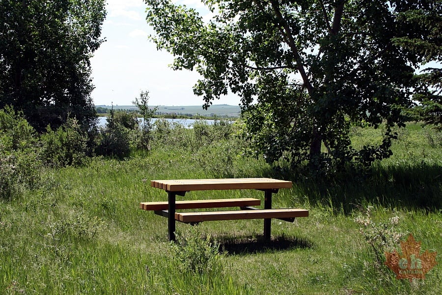 Picnic Area