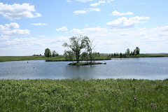 Island of Birds