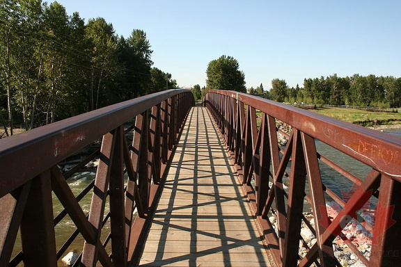 Bridge Views