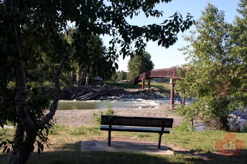 bridge20090626_99012.JPG