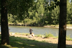 Morning Jogger
