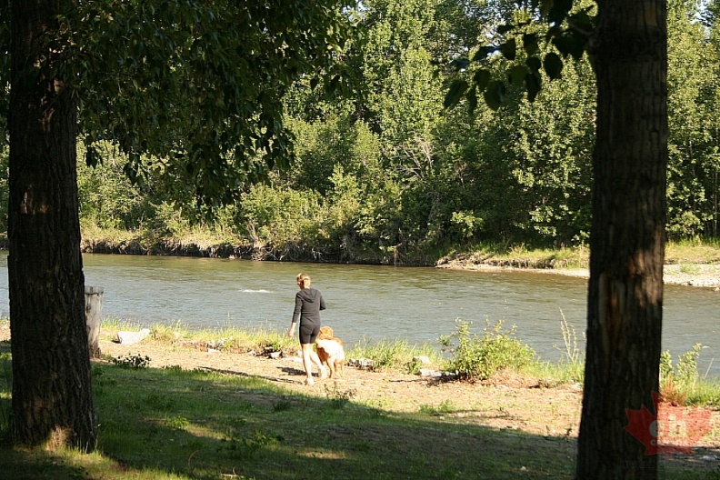 path20090626_04012.JPG
