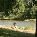 Morning Jogger