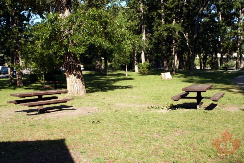 picnic20090626_14012.JPG
