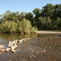 Sheep River