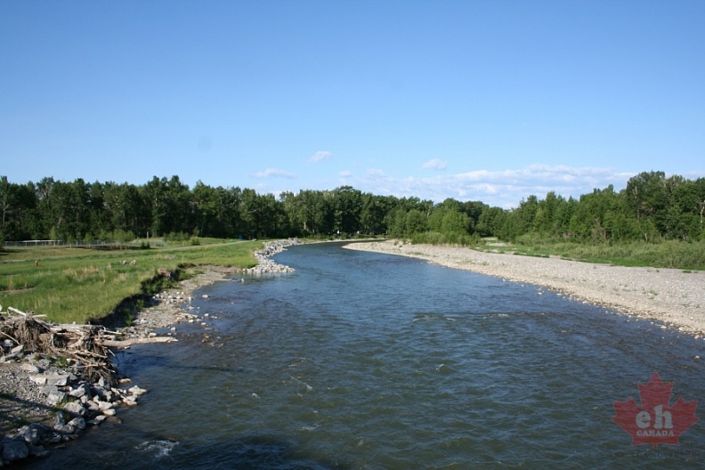 sheep-river20090626_94012.JPG
