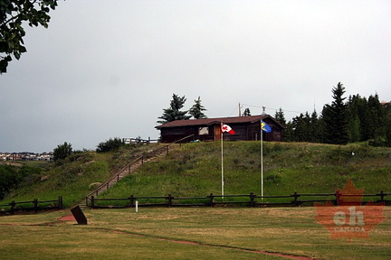 Pasture Views