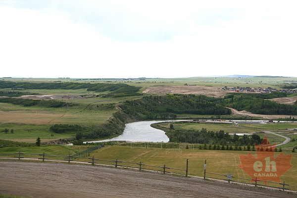 cochrane0001.JPG