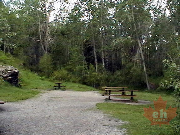 Day Use Area