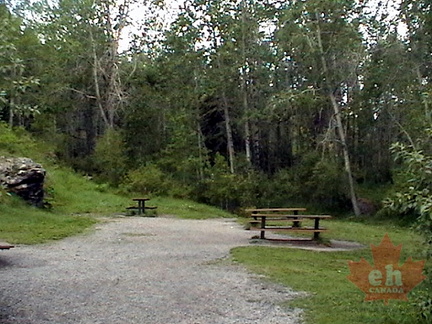 Day Use Area
