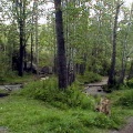 Hiking Trail