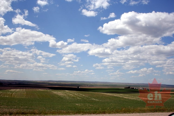 Grassland Prairie