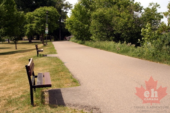 Bow River Sightseeing Benches